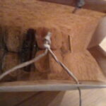 みなさん動き始めてますな