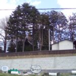 風が強い&花粉が止んだ…❓